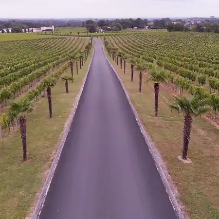 Shooting à la Demeure du Siècle (7)